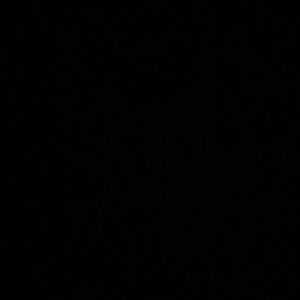 Meet your Posher, Bailey